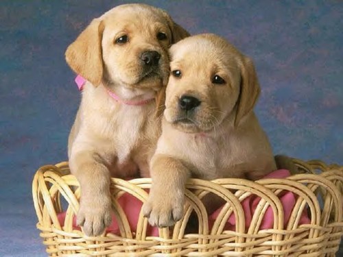 lorsque nous nous sommes rencontrées